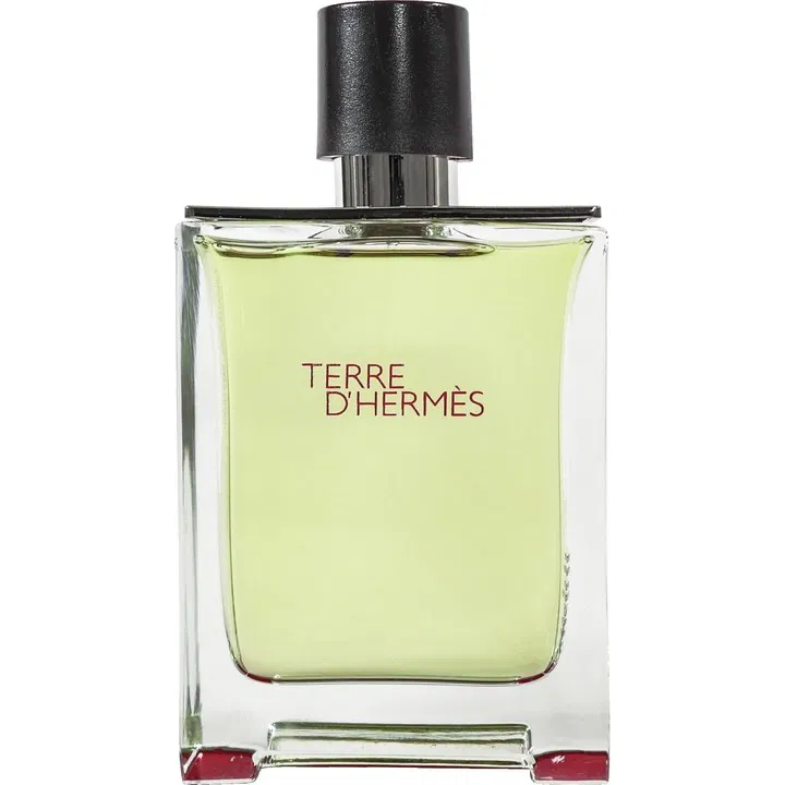 Hermés TERRE D'HERMÉS PARFUM