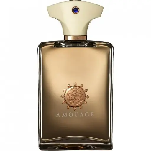 Amouage DIA MAN Eau de Parfum